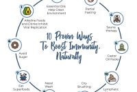 What Are The Most Effective Ways To Boost Immunity What Are The Most Effective Ways To Boost Immunity