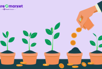 Understanding The Importance Of Diversification In Investments Understanding The Importance Of Diversification In Investments