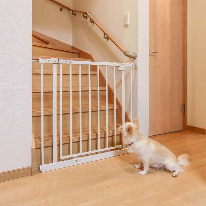IRIS OHYAMA(アイリスオーヤマ) ペットフェンス ペットゲート 犬 猫 フェンス ゲート 柵 犬用 猫用 置くだけ おしゃれ 軽量 ... What Are The Requirements For Starting A Nonprofit Organization